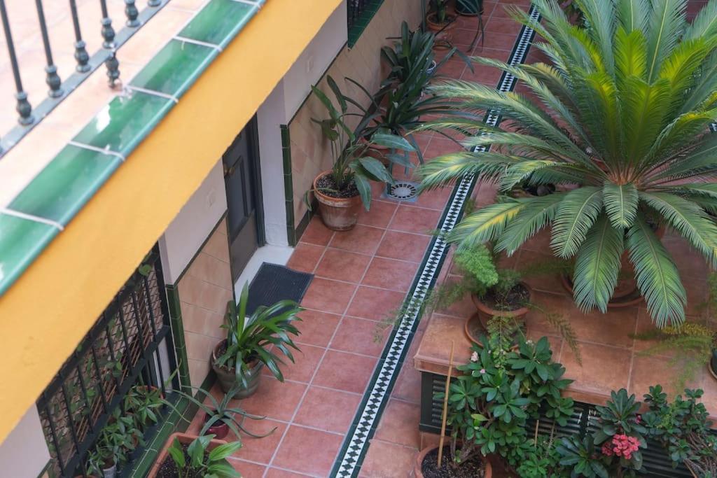 Apartamento Junto A Las Setas De Sevilla Bagian luar foto